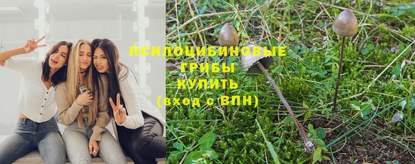 таблы Алзамай