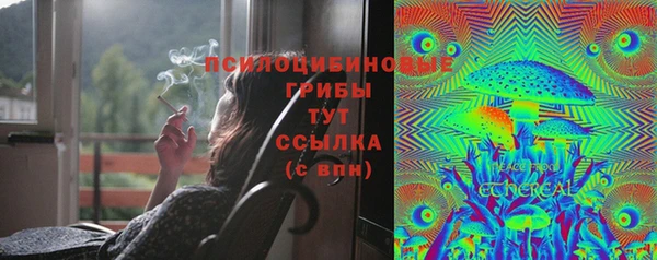 таблы Алзамай
