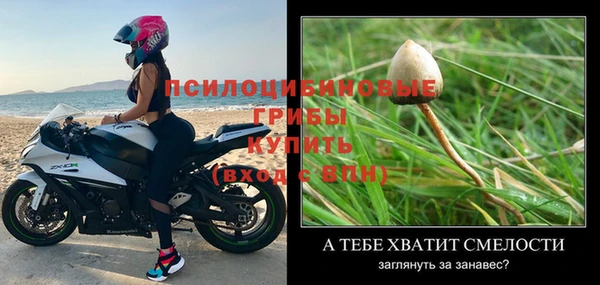 хмурый Алексеевка